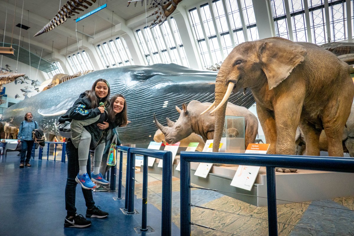 London: the beginning or the end?  Time to go&nbsp;home.