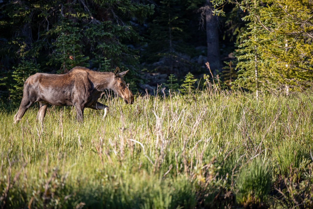 Loving Colorado, saying ‘Goodbye&nbsp;RV!’